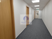 Śródmieście: lokal biurowy 45 m2 do wynajęcia