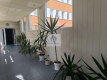 Mokotów: lokal biurowy 20m2 do wynajęcia