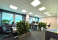 Śródmieście : lokal biurowy 935 m2 do wynajęcia