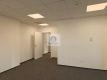Śródmieście: lokal biurowy 38,68 m2 do wynajęcia
