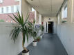 Mokotów: lokal biurowy 40m2 do wynajęcia
