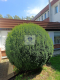 Mokotów: lokal biurowy 40m2 do wynajęcia