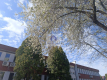 Mokotów: lokal biurowy 20m2 do wynajęcia