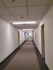 Śródmieście: lokal biurowy 53,90m2 do wynajęcia