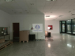 Śródmieście: lokal handlowo-usługowy 133,69m2 do wynajęcia