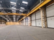Bielany: magazyn 4941 m2 do wynajęcia