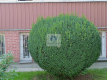 Mokotów: lokal biurowy 165m2 do wynajęcia