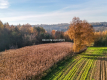 Działka budowlana / MPZP - MN3 / Przesławice