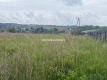 33 ary, Michałowice-Wilczkowice 