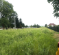 33 ary, Michałowice-Wilczkowice 