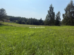 1600m2, Korzkiew, gmina Zielonki z pozwoleniem