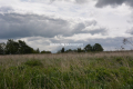  Działka budowlano-rolna o pow.: 1416 m2