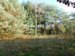 Ładna działka budowlano - inwestycyjna 4100m2 w Białym Ługu, gmina Prażmów, pow. piaseczyński.    
   
Cisza, zieleń, dobry dos