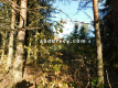 Ładna działka budowlano - inwestycyjna 4100m2 w Białym Ługu, gmina Prażmów, pow. piaseczyński.    
   
Cisza, zieleń, dobry dos