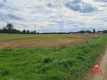 Działka w otulinie Puszczy Knyszyńskiej z WZ