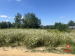 Dziłaka pod zabudowę bliżniczą