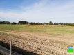 Karsznice - grunt inwestycyjny o pow. 7,5 ha