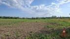 Działka inwestycyjna przy S8