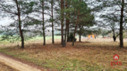 Działka 1900 m2. Pieńki