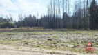 Działka budowlana pod lasem. 1085 m2