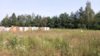 Nowoczesny dom Pietrzykowice, 5 km od Wrocławia