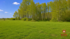 Działka rolno-budowlana 2,5 ha. Nowosiółki