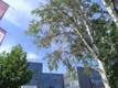 Warszawa Ursynów : lokal biurowy 132 m2 do wynajęcia