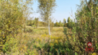 Ciasne. Działka budowlana 5100 m2.
