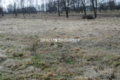 Duża działka Inwestycyjna  w Gm.Słaboszów