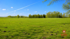 Działka rolno-budowlana 2,5 ha. Nowosiółki