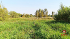 Ciasne. Działka budowlana 5100 m2.