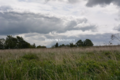 Działka budowlano-rolna o pow.: 1519 m2