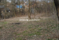 Do sprzedania działka budowlano- rolna ,częściowo zalesiona ,o pow ,48 arów ,/w tym 5 arów budowlane /w miejscowości Malkowice 