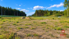 Plac 4500 m2 przy DK 8