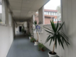 Mokotów: lokal biurowy 20m2 do wynajęcia