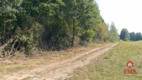 Ciasne. Działka budowlana 5100 m2.