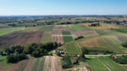 Gunów - Wilków działka o pow. 0,77 ha! 
 
Działka o powierzchni 0,77 ha   położona w miejscowości Gunów-Wilków gm. Kazimierza W