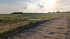 Działka 25 ara, gm. Iwanowice- Sieciechowice