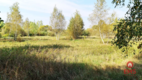 Ciasne. Działka budowlana 5100 m2.