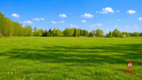 Działka rolno-budowlana 2,5 ha. Nowosiółki