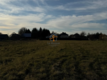 Rusicice, gm. Czernichów. 27 ar w zielonej okolicy