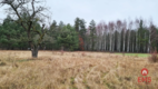 Działka 1900 m2. Pieńki