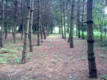 Wolnostojący dom ok. 600 m2