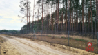 Działka 8500 m2, Jurowce