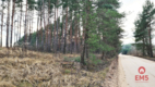 Działka 8500 m2, Jurowce