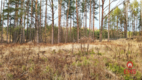 Działka 8500 m2, Jurowce