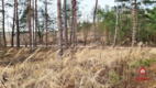 Działka 8500 m2, Jurowce