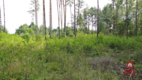 Budowlano - rolna 1,04 ha. Pod miastem