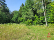 Mazury, jezioro Garbas, duża działka.