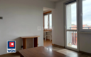 Nowa Sól, mieszkanie 2 pokoje, 36 m2, wynajmę, odstępne 1 500 zł.  
  
MIESZKANIE DOSTĘPNE NA POCZĄTKU PAŹDZIERNIKA.  
  
Oferu